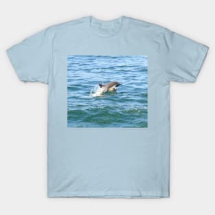 Marine Life, Striped Dolphin, Pacific Ocean, California T-Shirt